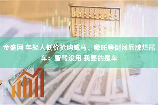 金盛网 年轻人低价抢购威马、哪吒等倒闭品牌烂尾车:智驾没用 我要的是车