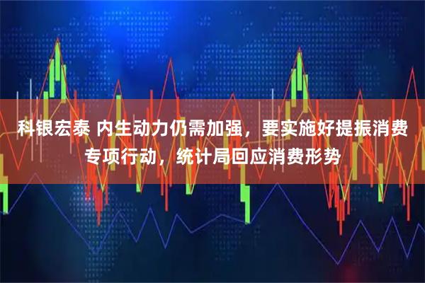 科银宏泰 内生动力仍需加强，要实施好提振消费专项行动，统计局回应消费形势