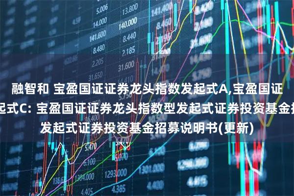 融智和 宝盈国证证券龙头指数发起式A,宝盈国证证券龙头指数发起式C: 宝盈国证证券龙头指数型发起式证券投资基金招募说明书(更新)