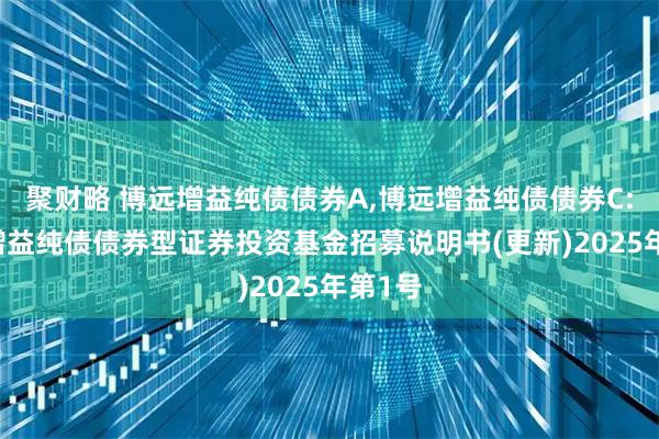 聚财略 博远增益纯债债券A,博远增益纯债债券C: 博远增益纯债债券型证券投资基金招募说明书(更新)2025年第1号