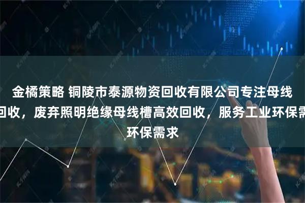 金橘策略 铜陵市泰源物资回收有限公司专注母线槽回收，废弃照明绝缘母线槽高效回收，服务工业环保需求